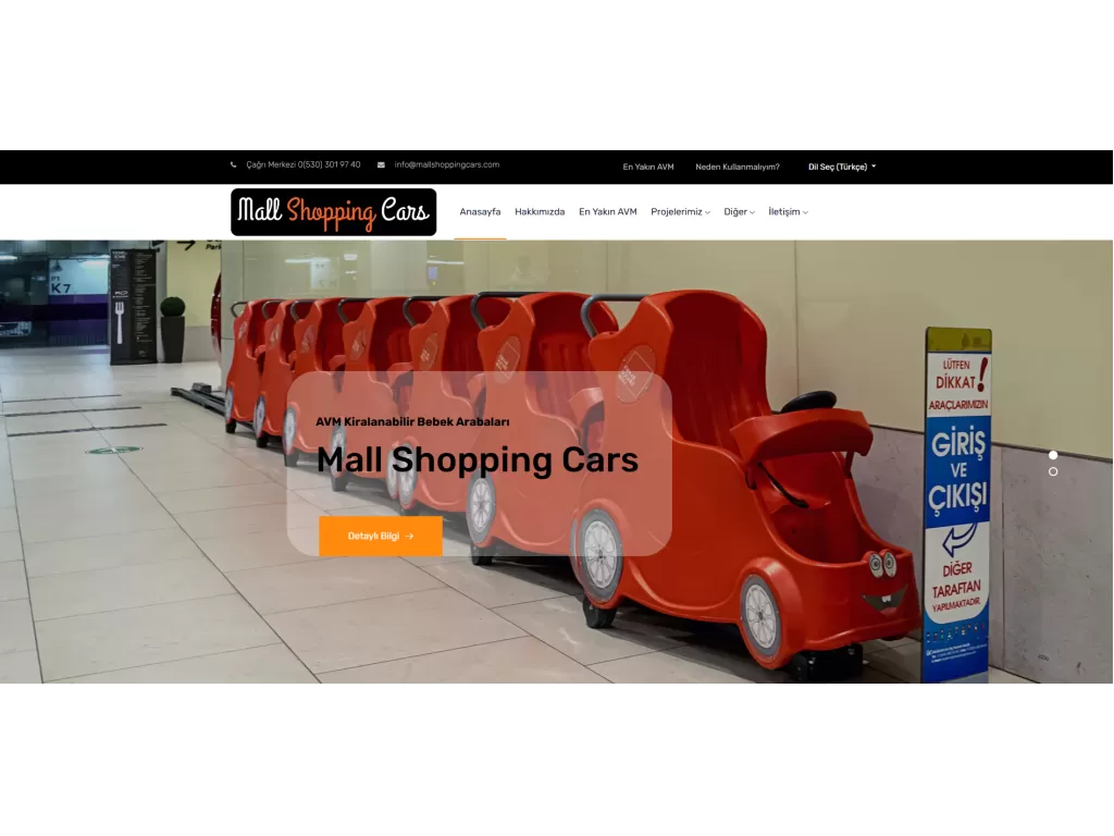 mallshoppingcars.png