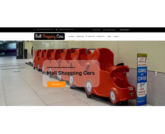 Mall Shopping Cars Web Tasarım